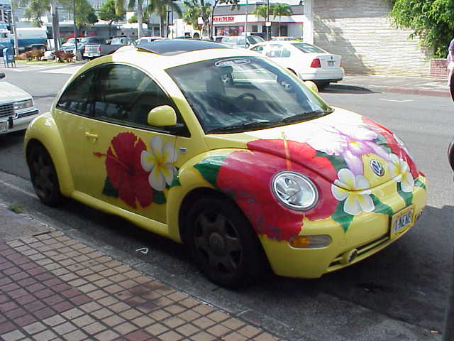 photo of flowerbug