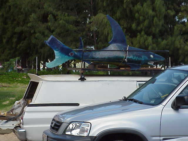 photo of shark mobile