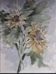 Image of Sunflowers from the video